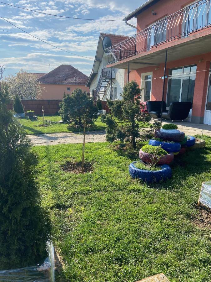 Apartman Pejovic Kladovo Eksteriør bilde